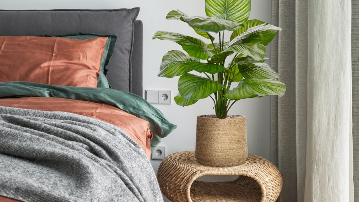 Plante artificielle extérieur : une verdure résistante qui défie les saisons